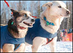 Leaders Green Pea and Clarence are ready to go at the restart on Willow Lake. Leaders Green Pea and Clarence are ready to go at the restart on Willow Lake.